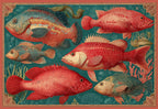 Collector's Trio — Frutti di Mare vintage Mediterranean fish disposable paper placemat